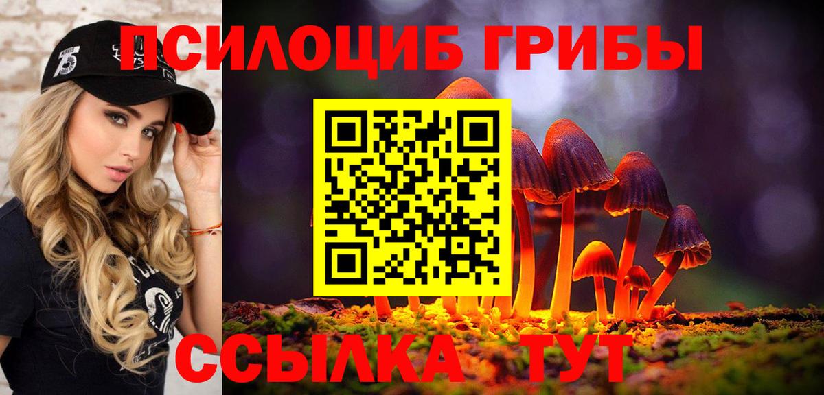 Нерюнгри  Галлюциногенные грибы Psilocybine cubensis  Вход с VPN  Галлюциногенные грибы ЛСД 