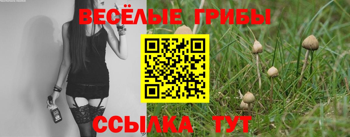 Псилоцибиновые грибы GOLDEN TEACHER Нерюнгри